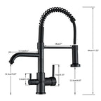 Robinet évier cuisine mitigeur douchette purificateur d'eau - Doré - Laiton