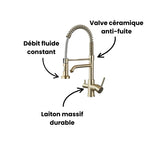 Robinet évier cuisine mitigeur douchette purificateur d'eau - Doré - Laiton