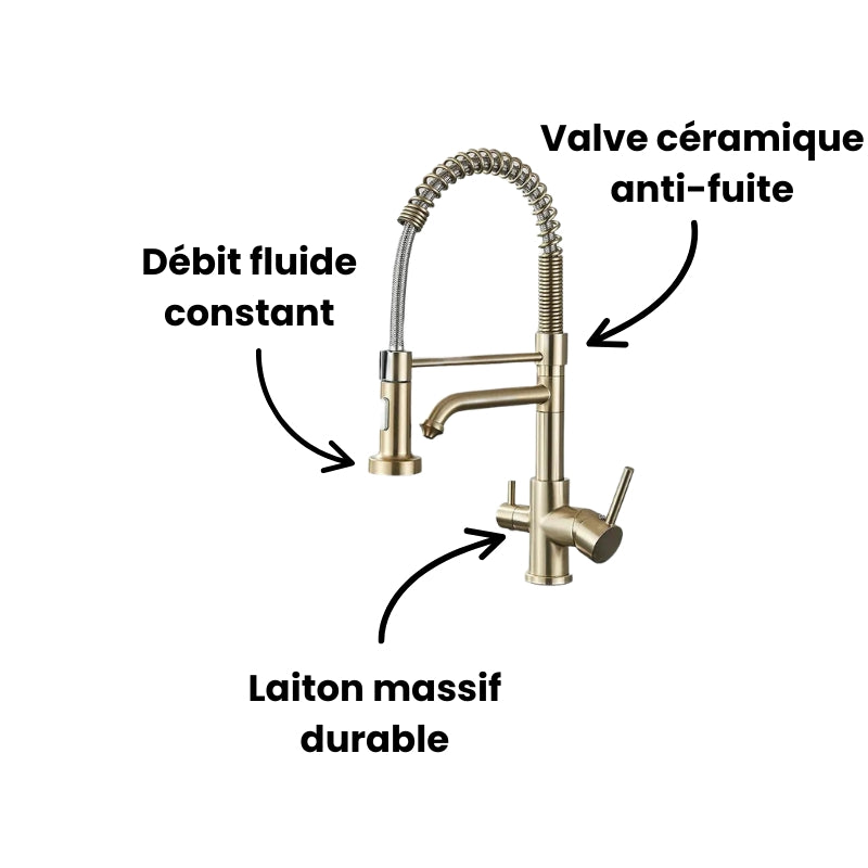 Robinet évier cuisine mitigeur douchette purificateur d'eau - Doré - Laiton