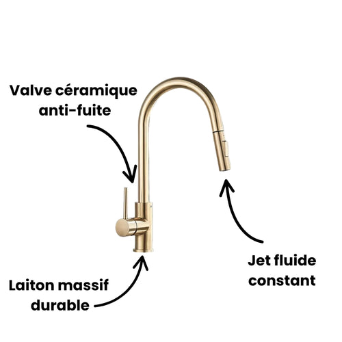 Robinet cuisine évier flexible douchette minimaliste - Doré - Laiton
