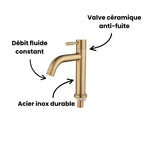 Robinet lavabo salle de bain minimaliste - Doré brossé